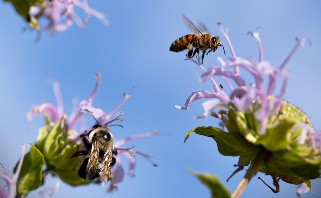 子どもが花粉症で目に眼帯を使うべきかどうか？