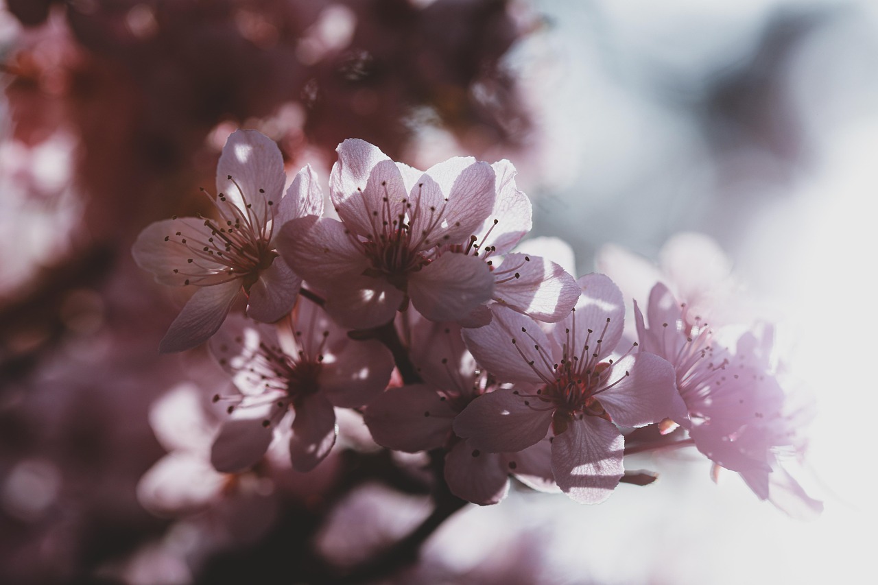 子どもの花粉症による目のかゆみを朝ひどい状態から改善する方法は？