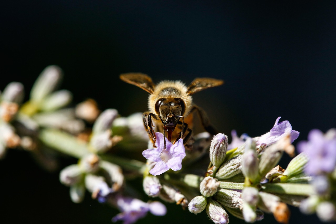 子どもの花粉症対策に効果的な鼻の乾燥を防ぐ加湿の働きとは？
