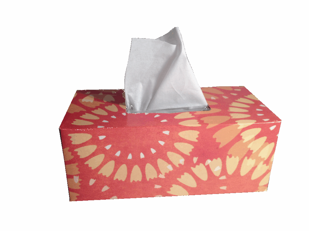 子どもが花粉症で鼻痛を防ぐためのティッシュの選び方は？