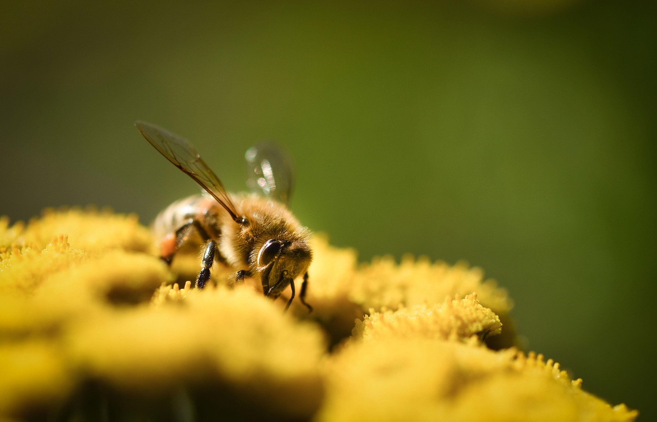 子どもが花粉症の点鼻薬を使う際の正しい手順は？