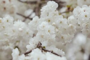 子どもの花粉症による下校後の咳に対する効果的な対策は？