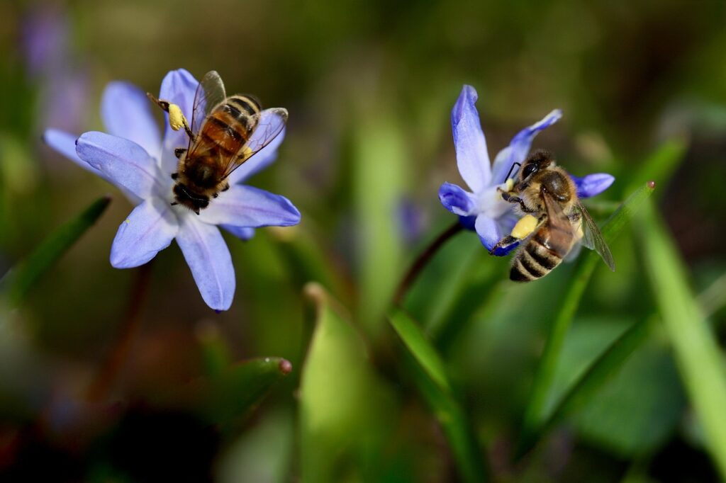 子どもが花粉症の夕方帰宅時に効果的な花粉対策は？