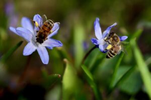 子どもが花粉症の時、外出前に服の花粉を落とす方法は？チェックリスト付き！