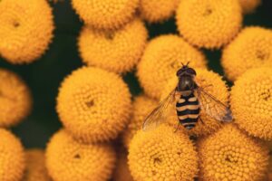 花粉症の子どもがぬいぐるみの花粉がたまりやすい時の対策は？