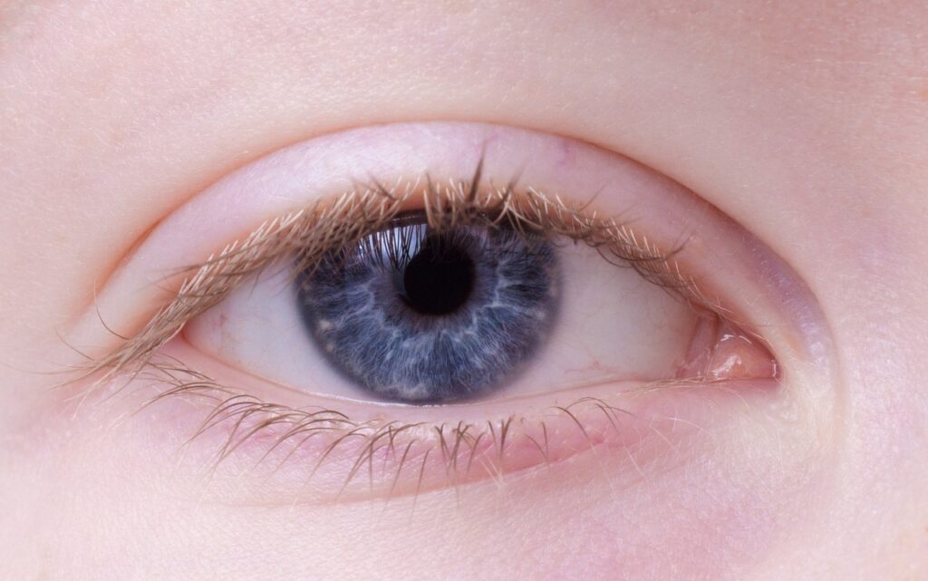 花粉症の子どもがまぶた腫れで登校前にできる対策は？