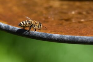 花粉症の子どもに効果的な対策は何ですか？