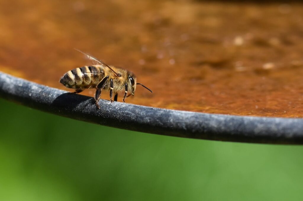 花粉症の子どもに効果的な対策は何ですか？