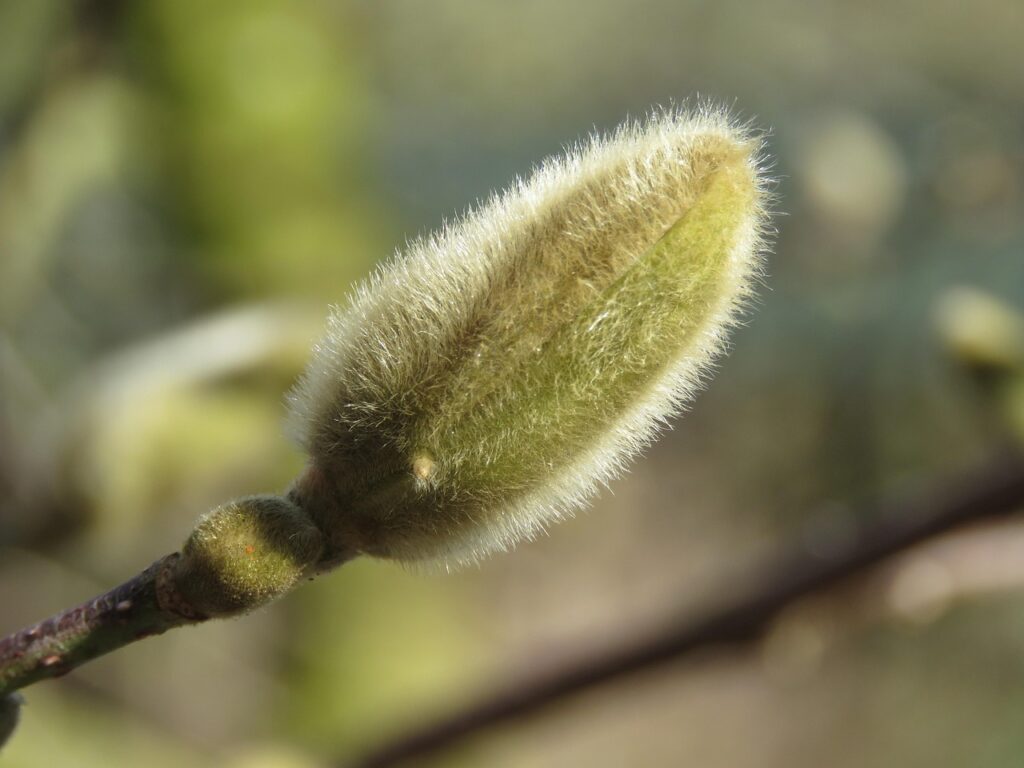 花粉症の子どもに見られる症状は何か、知っておくべきことは？